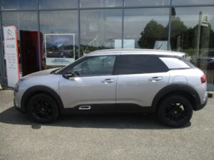 c4 cactus 1