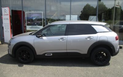 c4 cactus 1