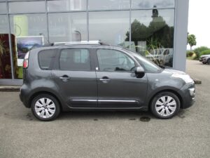 c3 picasso 1