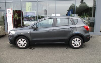 suzuki 1